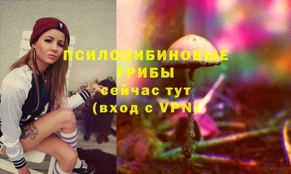 ALPHA-PVP Михайлов