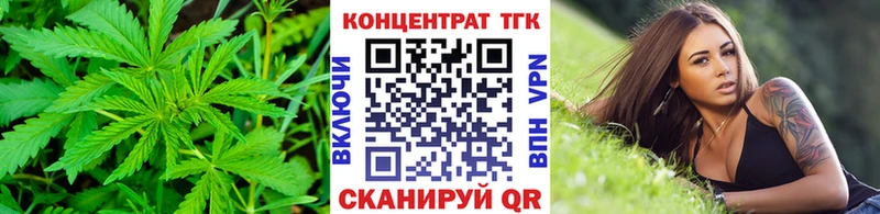 Купить  Онега  Дистиллят ТГК концентрат 