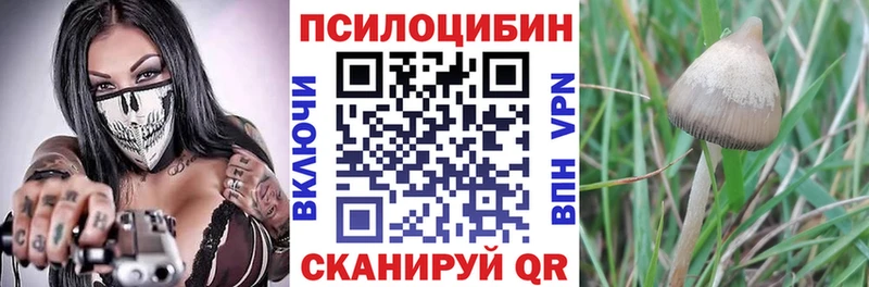 Псилоцибиновые грибы MAGIC MUSHROOMS  Купить закладки  Онега 